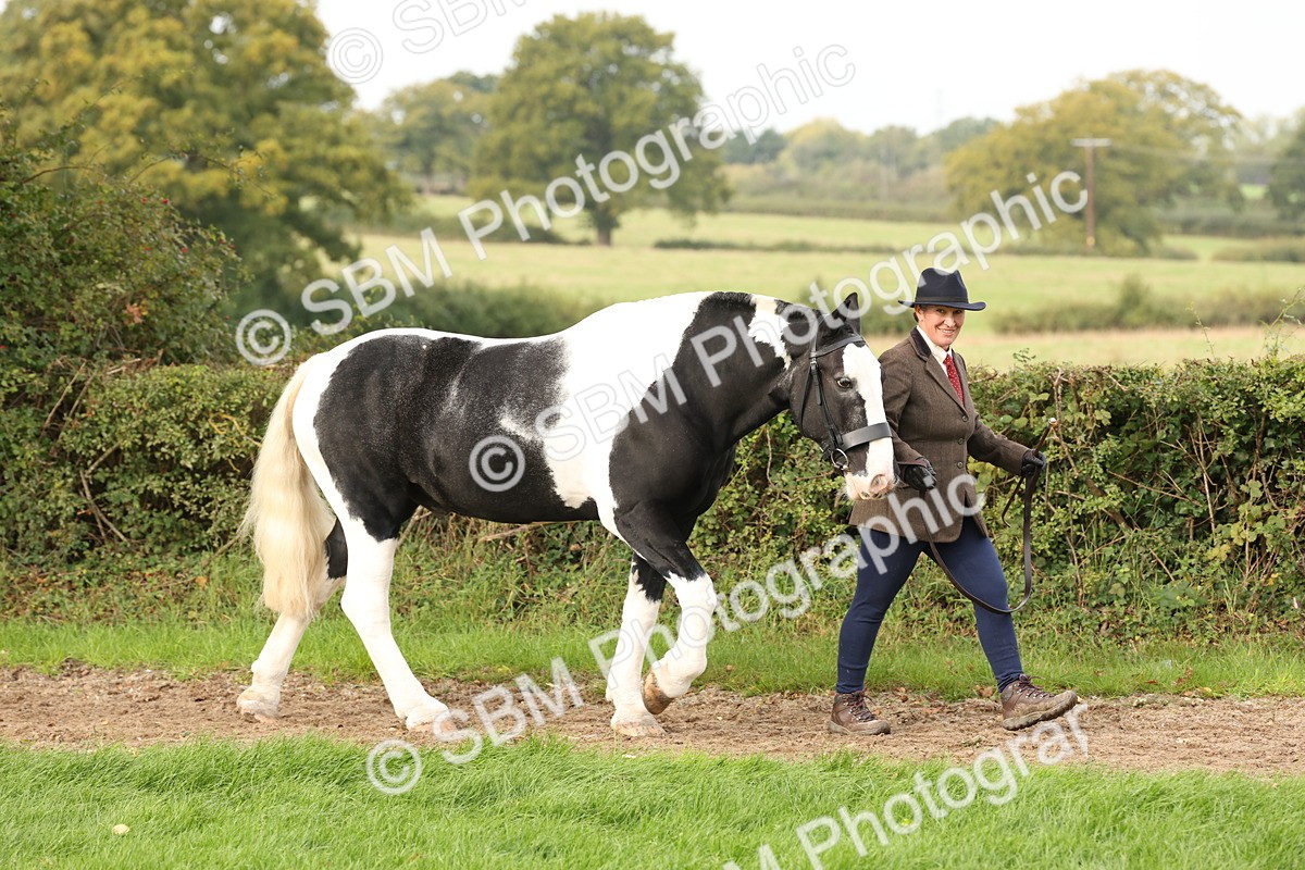 SBM_57484 - S56 - Show Cob in Hand