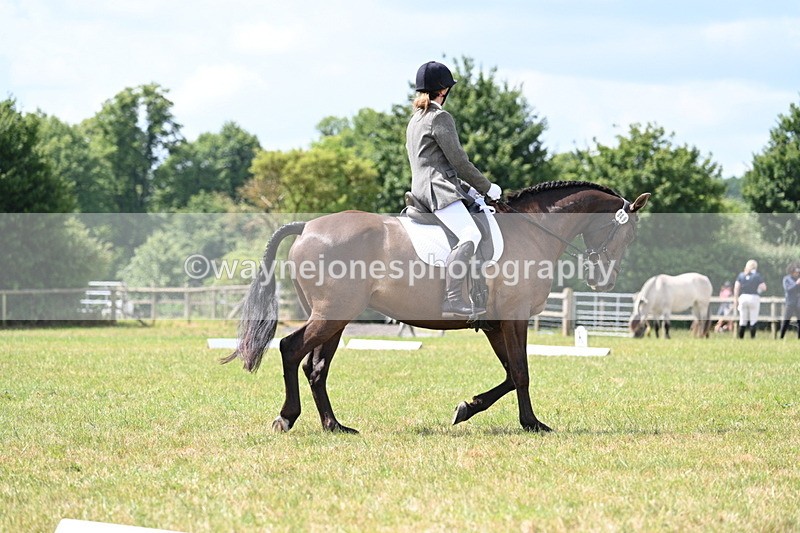 WJ7_4794 - Time 11:22 to 11:51