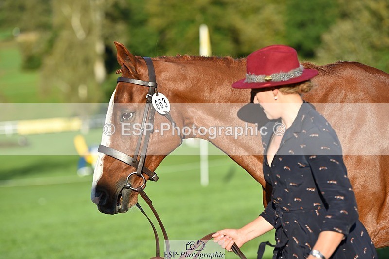 231022-091948-21706 - 663-GROOVY.GUY-Hannah.Watson-TrotUp+SJ