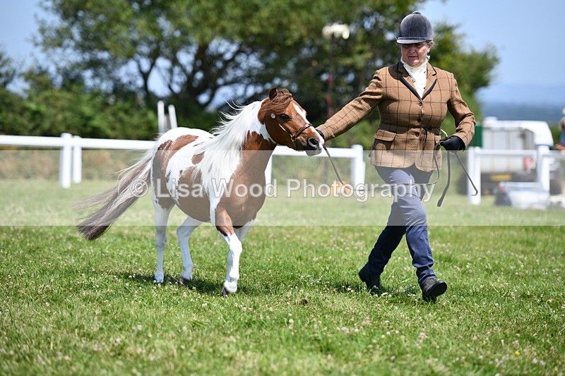 DSC_7700 - Class 64: Coloured Pony 4yrs & over