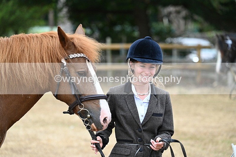 WJ7_8173 - Class 4 Prettiest Mare up to 14.2hh