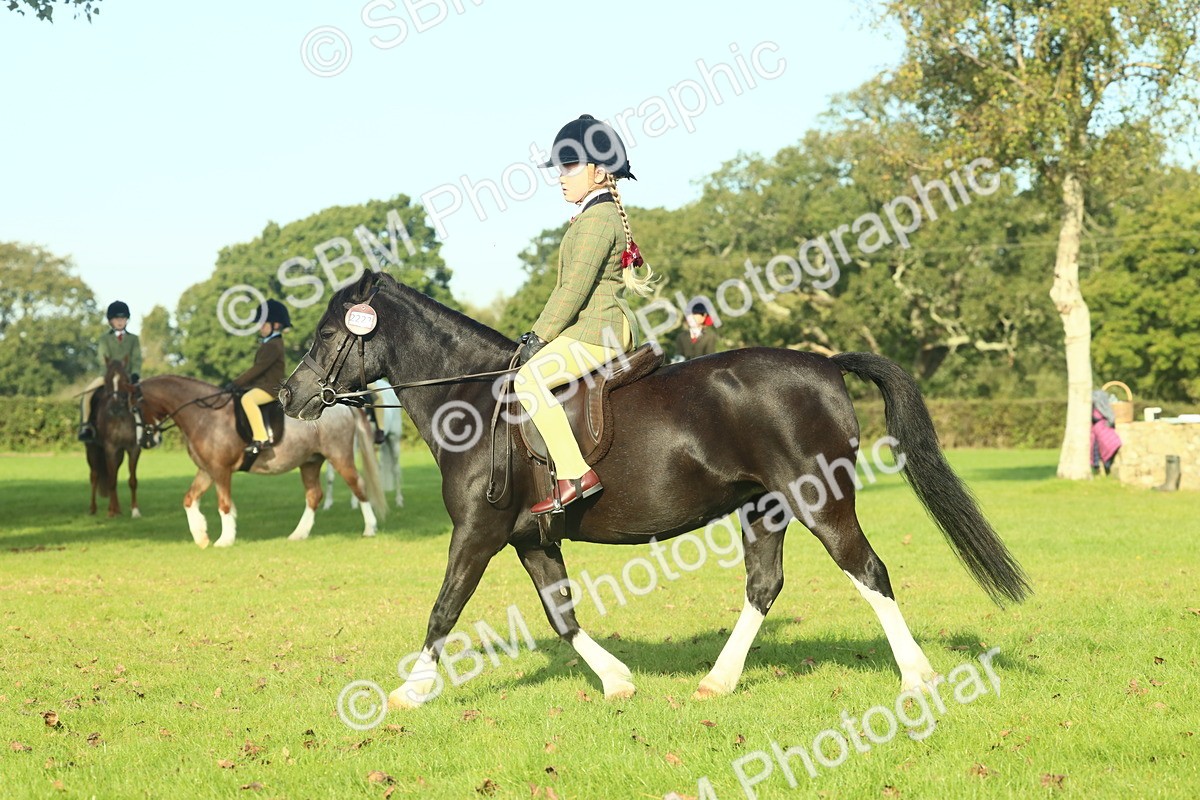 SBM_59221 - S38 - Starters Ridden Showing