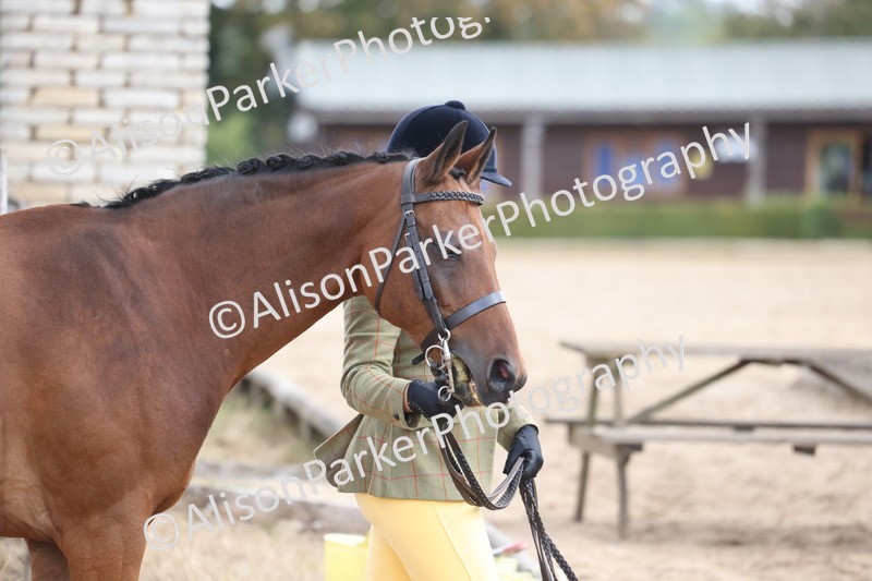 20260831-2354 - Class 9 - Show Pony and Show Hunter