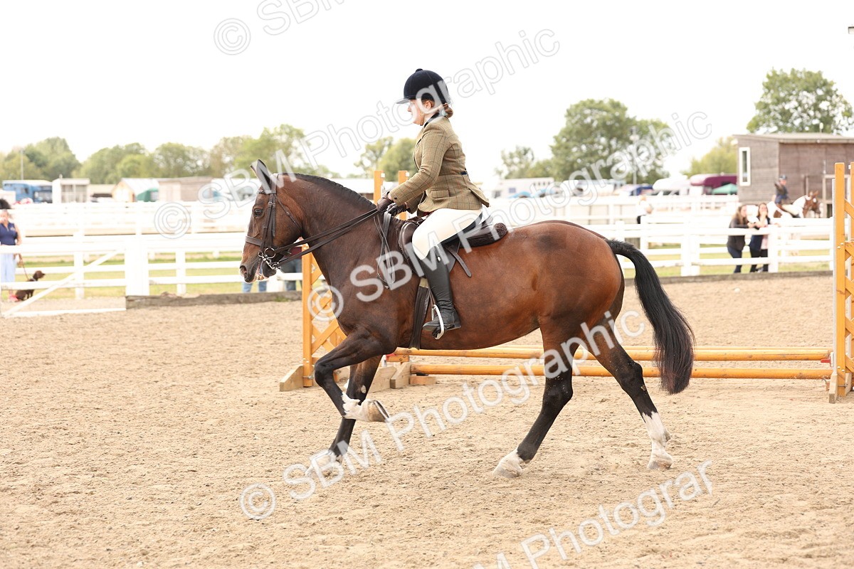 SBM_05145 - Class 56a -  Style & Performance - 50cm (15-19)