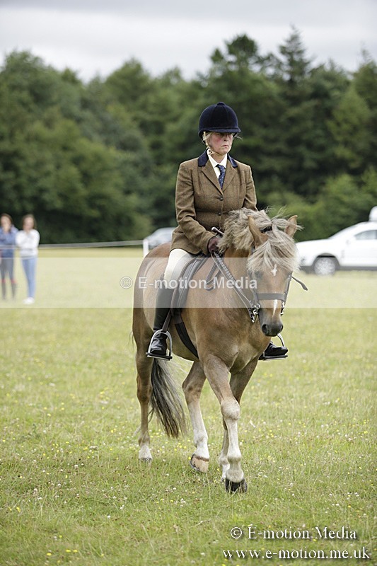 BVR160717-1329 - Ring 1 BVRC Show 16/07/17