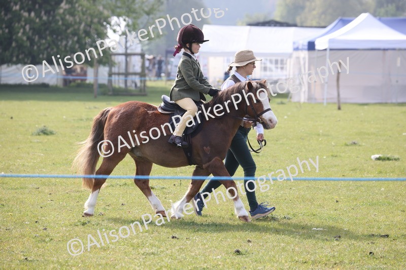 20260426-0315 - Class 30 - Tiny Tots Lead Rein