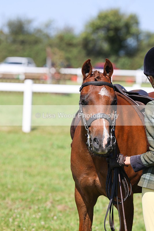 IMG_2044 - Class 34: Show Hunter Pony 153cm and under