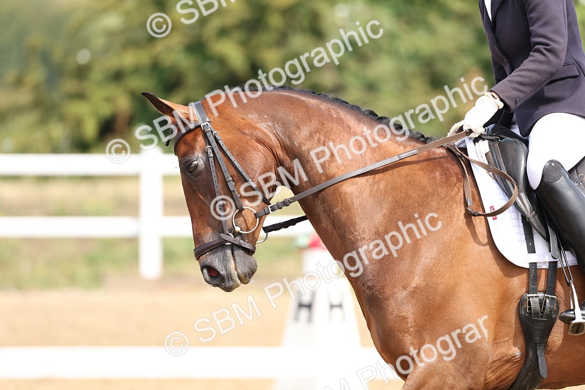 SBM_006148 - Class 6 - novice 6 - 11.50-12.46