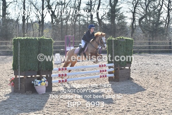 BPP_6993 - CLASS 17 SUN Stepping Stones 128/ 138cms Handicap