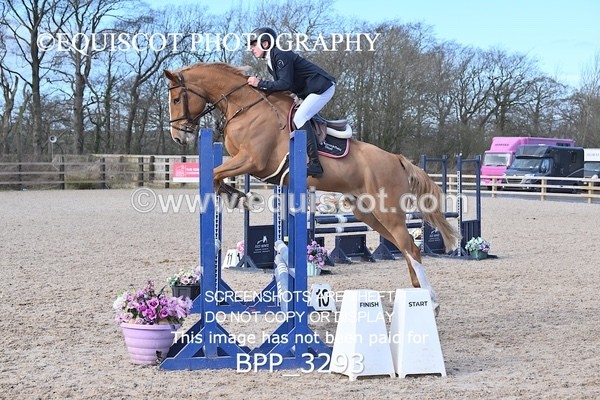 BPP_3293 - CLASS 2  Club/ Unaffiliated 80cms Open