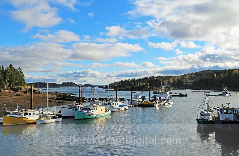 Deer Island - Fundy Postcards