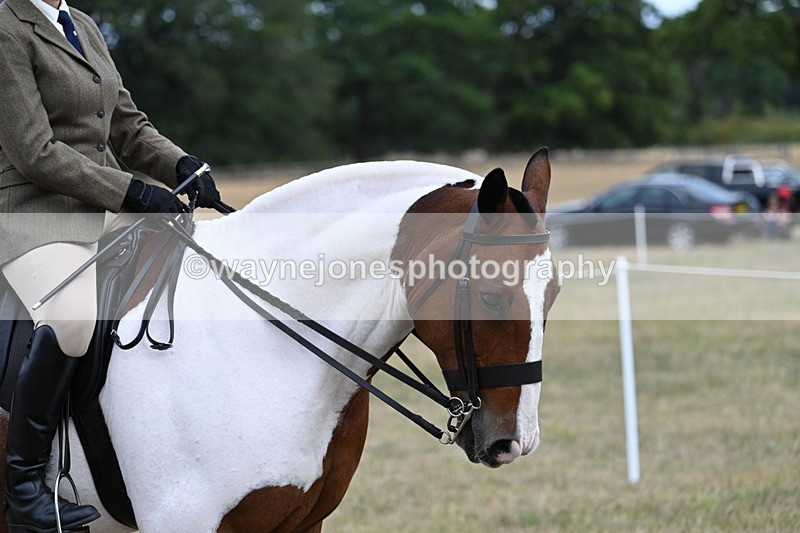 WJ7_5421 - Class 12 Ridden Cob