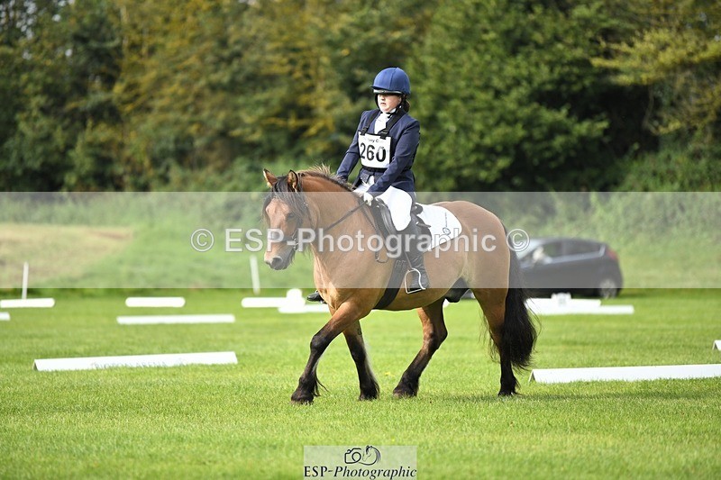 230826-100930-15383 - Sections C & D 10 to End