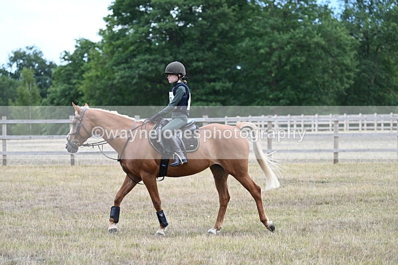 WJ7_1593 - 60cm Time 13:20 to 14:27