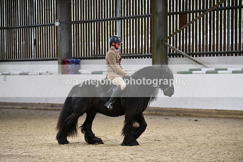 WJ5_8602 - Class 14 Novice Ridden/Rider