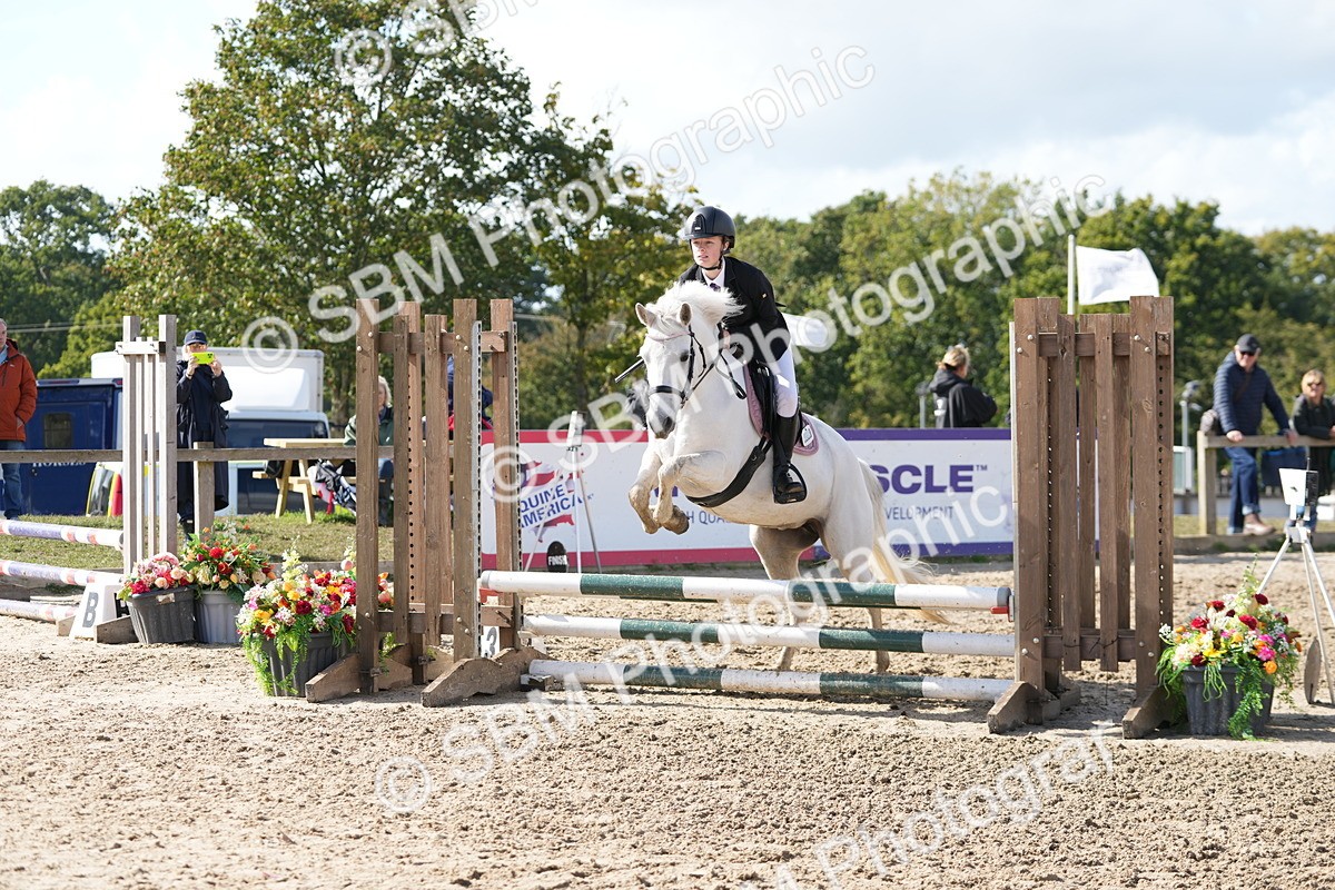 SBM_48330 - J7 - Junior Pony 60cm Championship