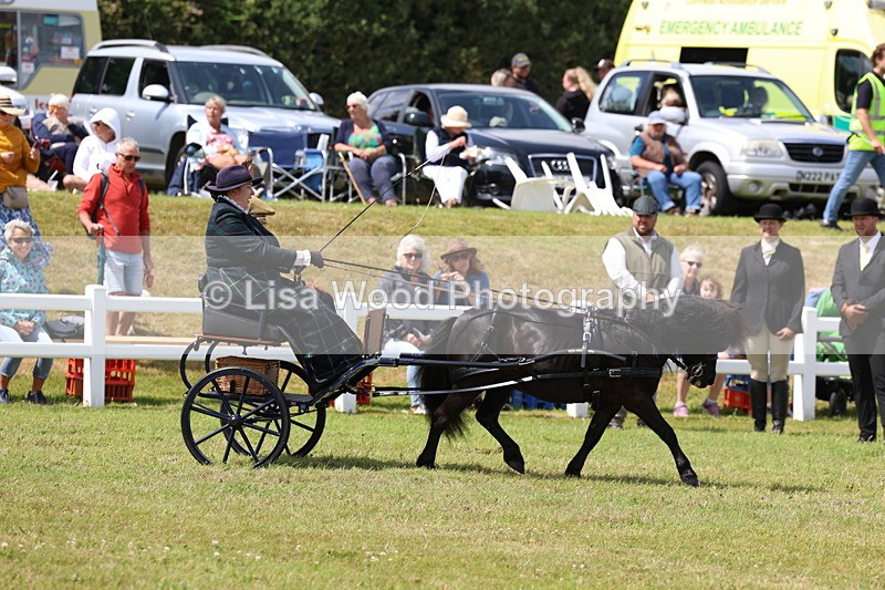 3E7A2672 - Class 12: Open Driving