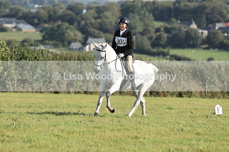 JPP_7895 - Class 2A: Trekenning Open: Dressage