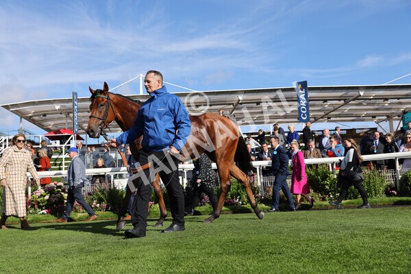 yr08102022r2-57 - Race 2 2.05pm The Coral Rockingham Stakes
