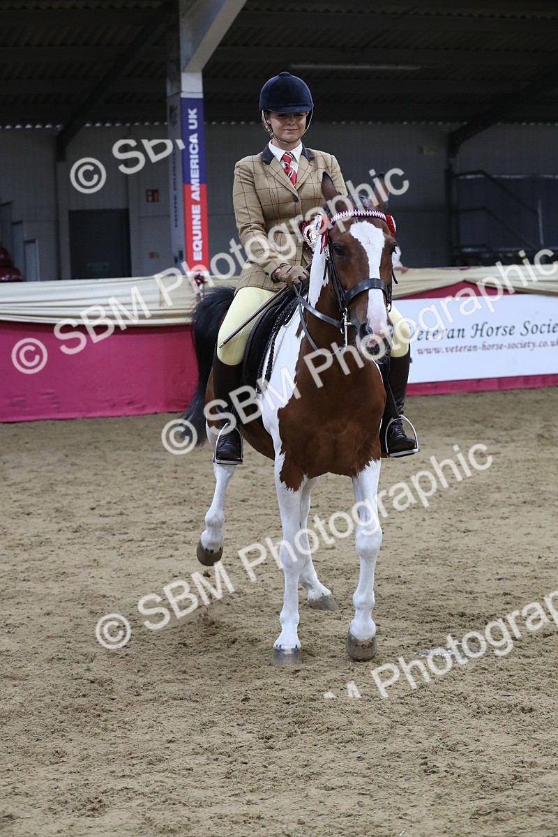 SBM_08469 - Class 11R Regional Ridden Veteran