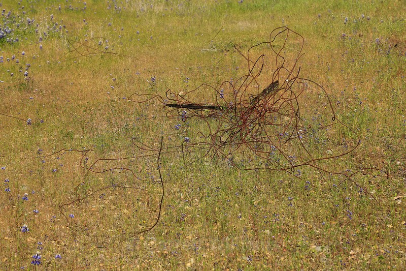 Cast iron - Abandoned Line