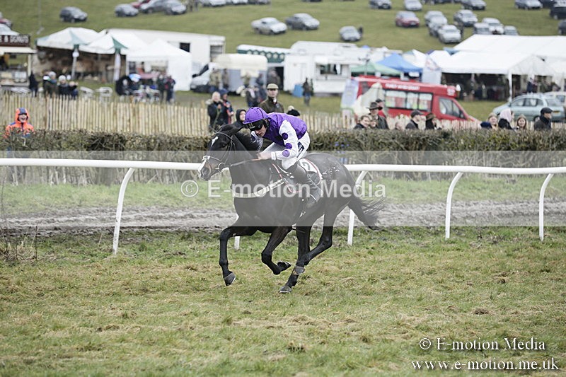 PtP 020418 -481 - Old Berks Point-to-Point Races Easter Monday 02/04/18