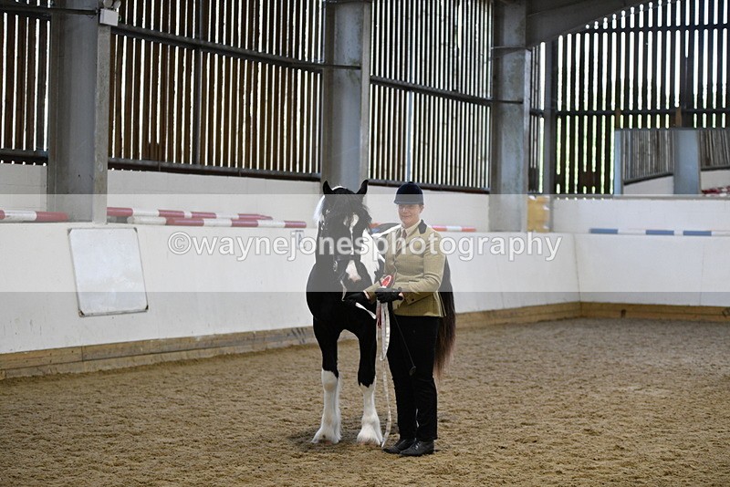 WJ5_5144 - Class 7 In hand coloured / odd coloured