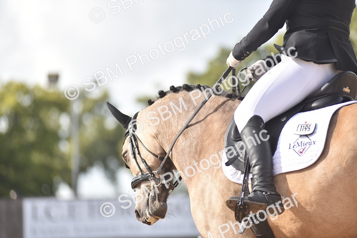 SBM_24271 - D4 - Small Tour Championship Intro 4