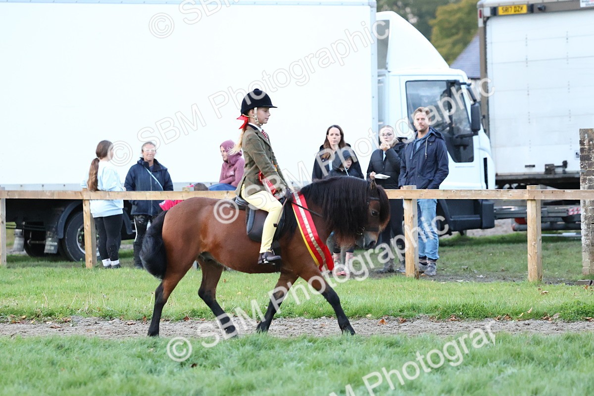 SBM_53453 - Super Supreme Championship (Sat)