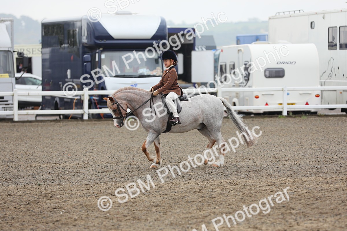 SBM_21816 - Class 806 - Young ridder 10 Yr & Under