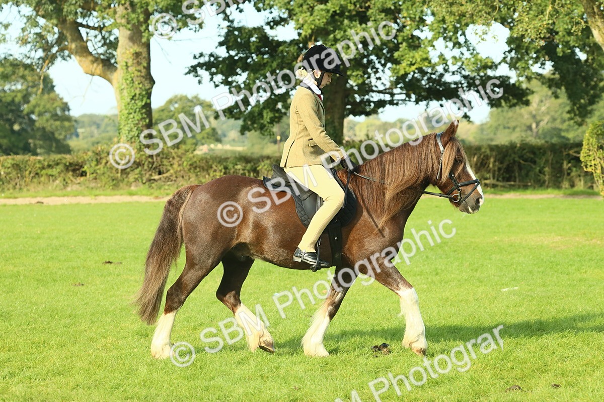 SBM_59838 - S38 - Starters Ridden Showing