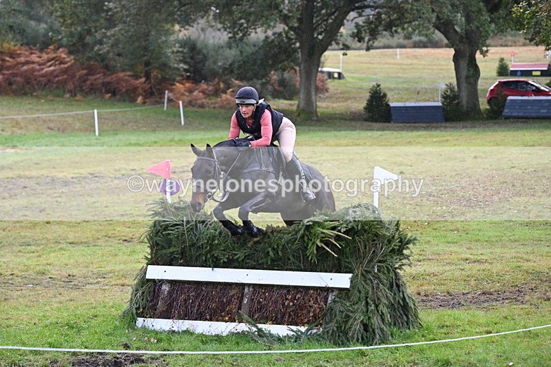 WJ6_1876 - 80cm Cam 1 Time 10:08 to 10:45