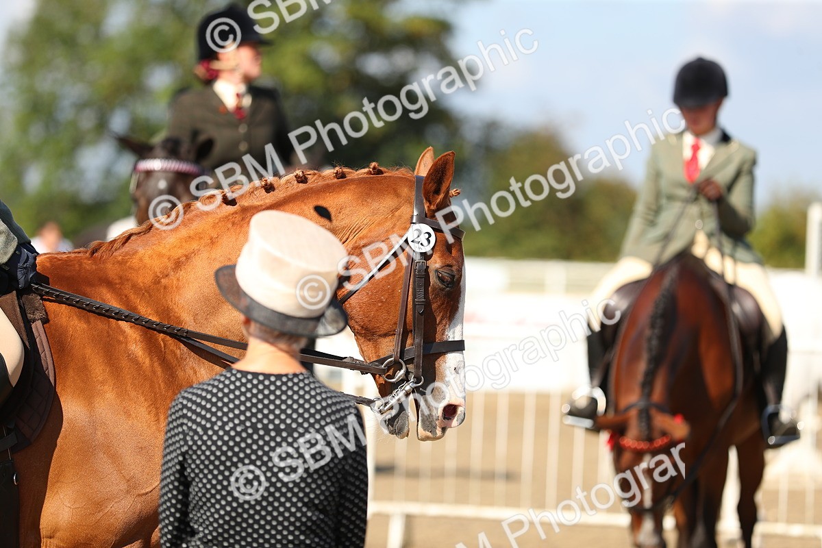 SBM_02358 - Class 43 Ridden Competition Horse/Pony