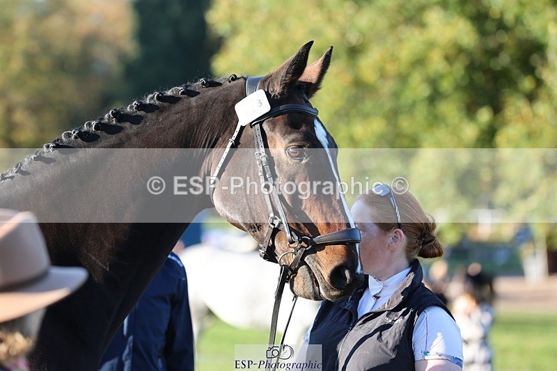 241027-083756-14708 - 323-Nicky.Blastland-FOUNDATIONS.HUSTLER