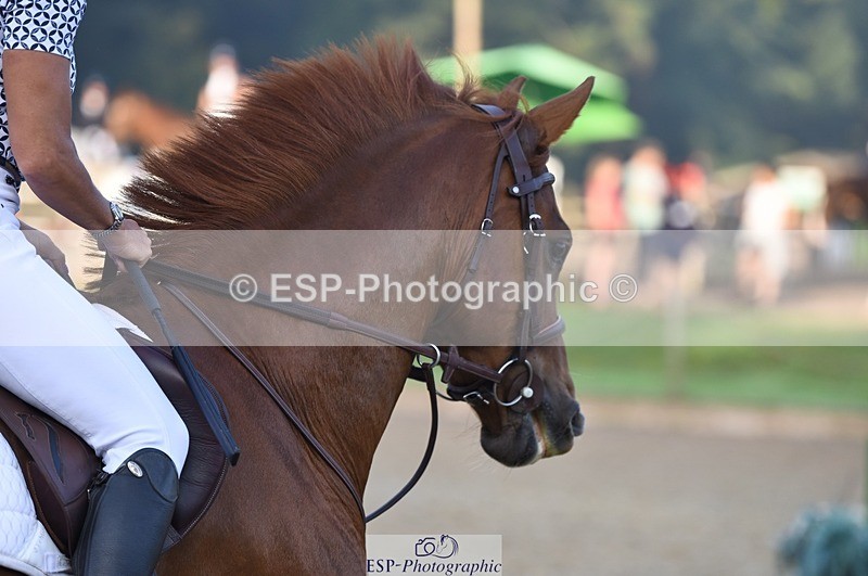 230909-075652-04033 - Cls 15 British Novice & 90cm Open