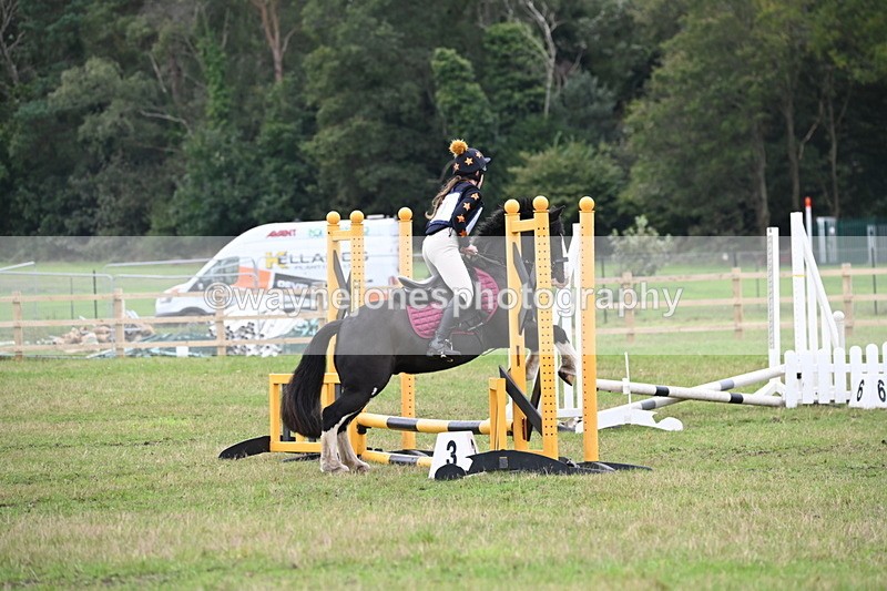 WJ6_0618 - 40cm Time 10:29 to 10:52