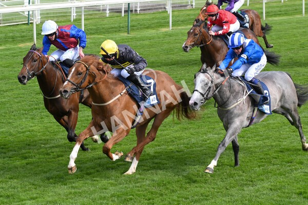 yr12052021r6-11 - Race 6 4.15pm British Stallion Studs EBF Novice Stakes