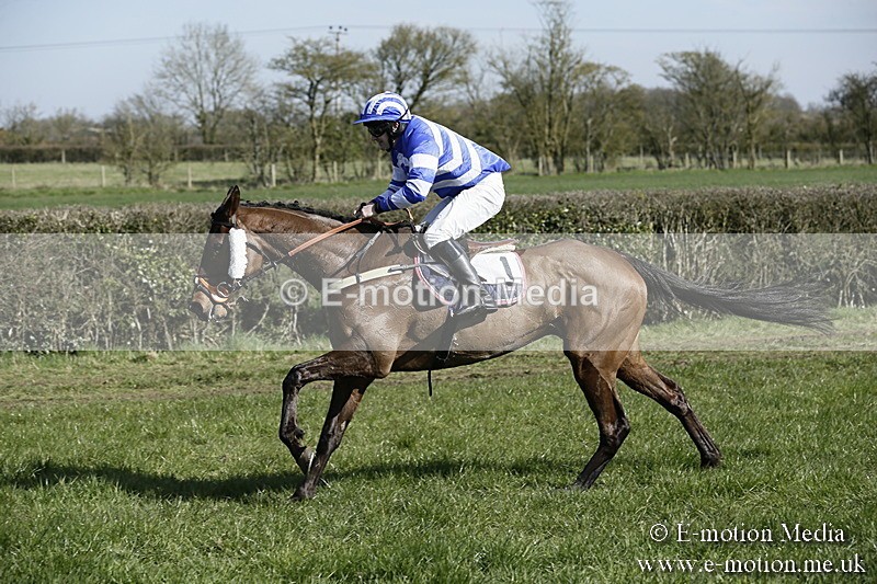 PtP 250317 135 - V.W.H. Hunt Point-to-Point Siddington 25/03/17