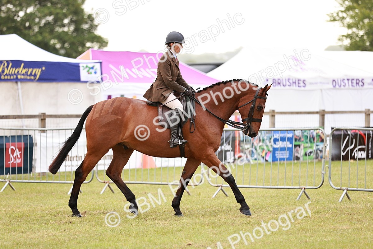 SBM_10742 - Class 81-84 - RIHS Ridden hunters Inc Ladies Hunter