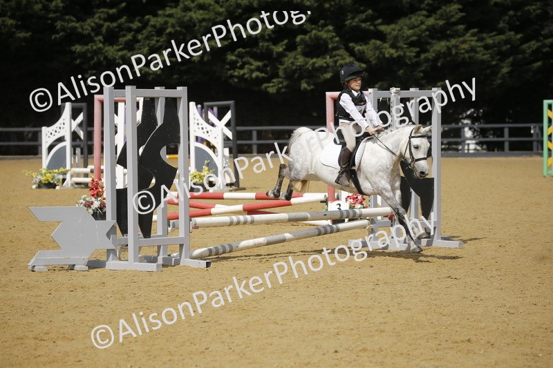 20250622-3773 - 50cm