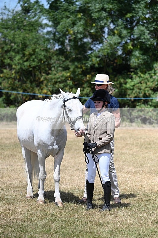 WJ7_2187 - Class 5 Most Handsome Gelding (up to 14.2hh) in hand