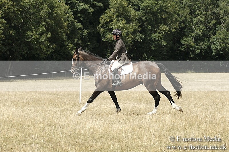 _PJP6021 - BVRC Show 2018 Ring 1