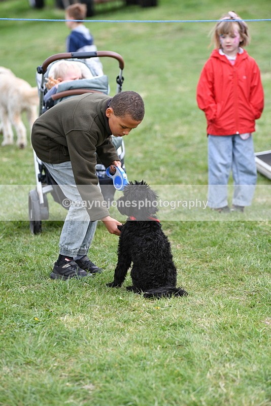 WJ5_9110 - Class 1 Best Cross Breed / Heniz 57