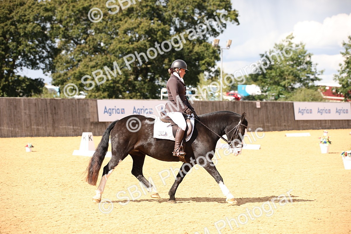 SBM_08878 - D8 Small Tour Championship Prelim 7