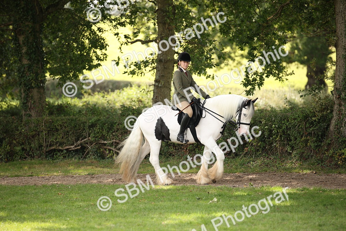 SBM_70062 - S65 - Piebald & Skewbald Horse Ridden