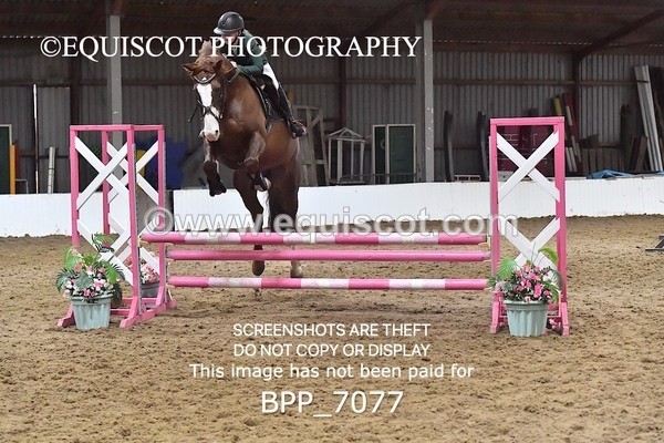 BPP_7077 - CLASS 2 Club/ Unaffiliated 80cms Open