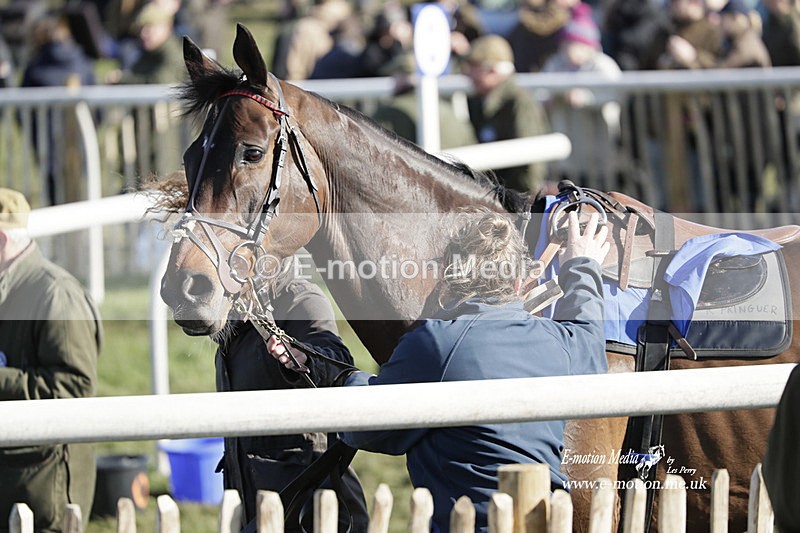 PtP 100423 1208 - Old Berkshire Point-to-Point Lockinge 10/04/23