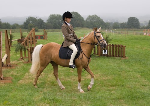 1 - Moniaive Horse Show 2008