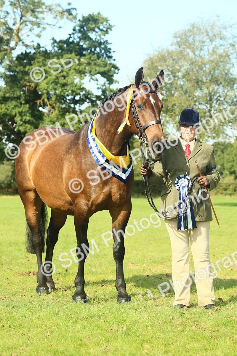 SBM_61169 - Starter Supreme Championship
