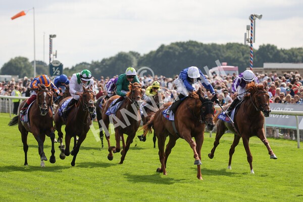 yr18082021r3-60 - Race 3 3.00pm Sky Bet Great Voltigeur Stakes